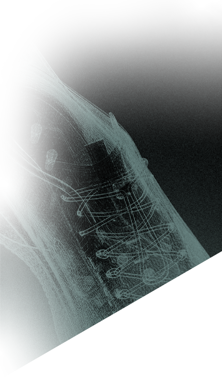 DISARM technical wireframe shoe